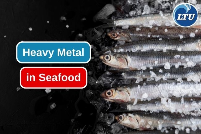 6 Heavy Metals that Commonly Found in Seafood